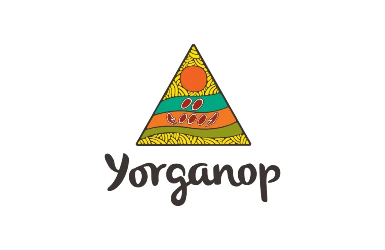 yorganop Image 768x499